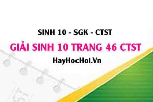 Giải Sinh 10 trang 46 Chân trời sáng tạo SGK